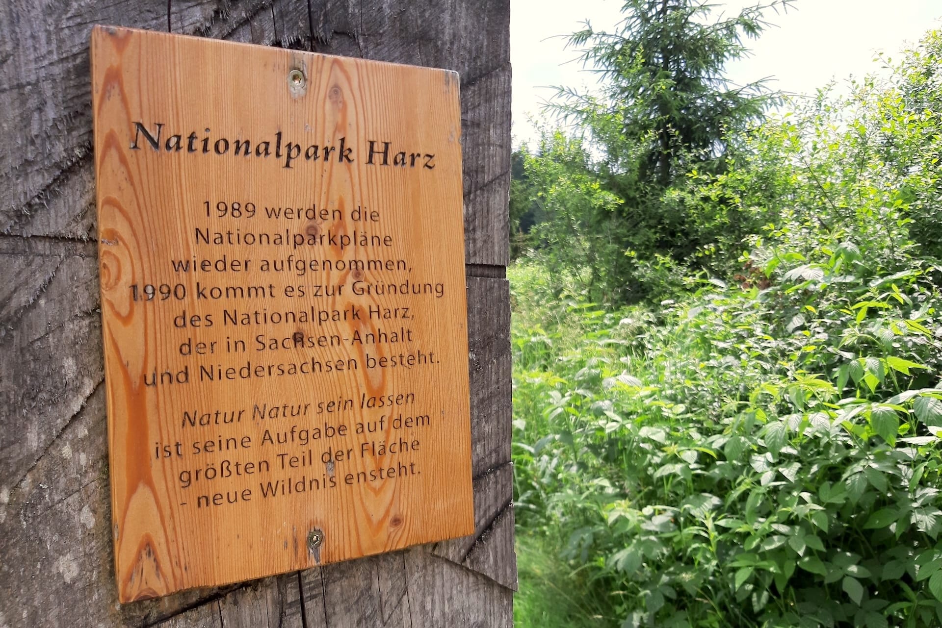 Nationalpark Harz beim Urlaub in Hohegeiß
