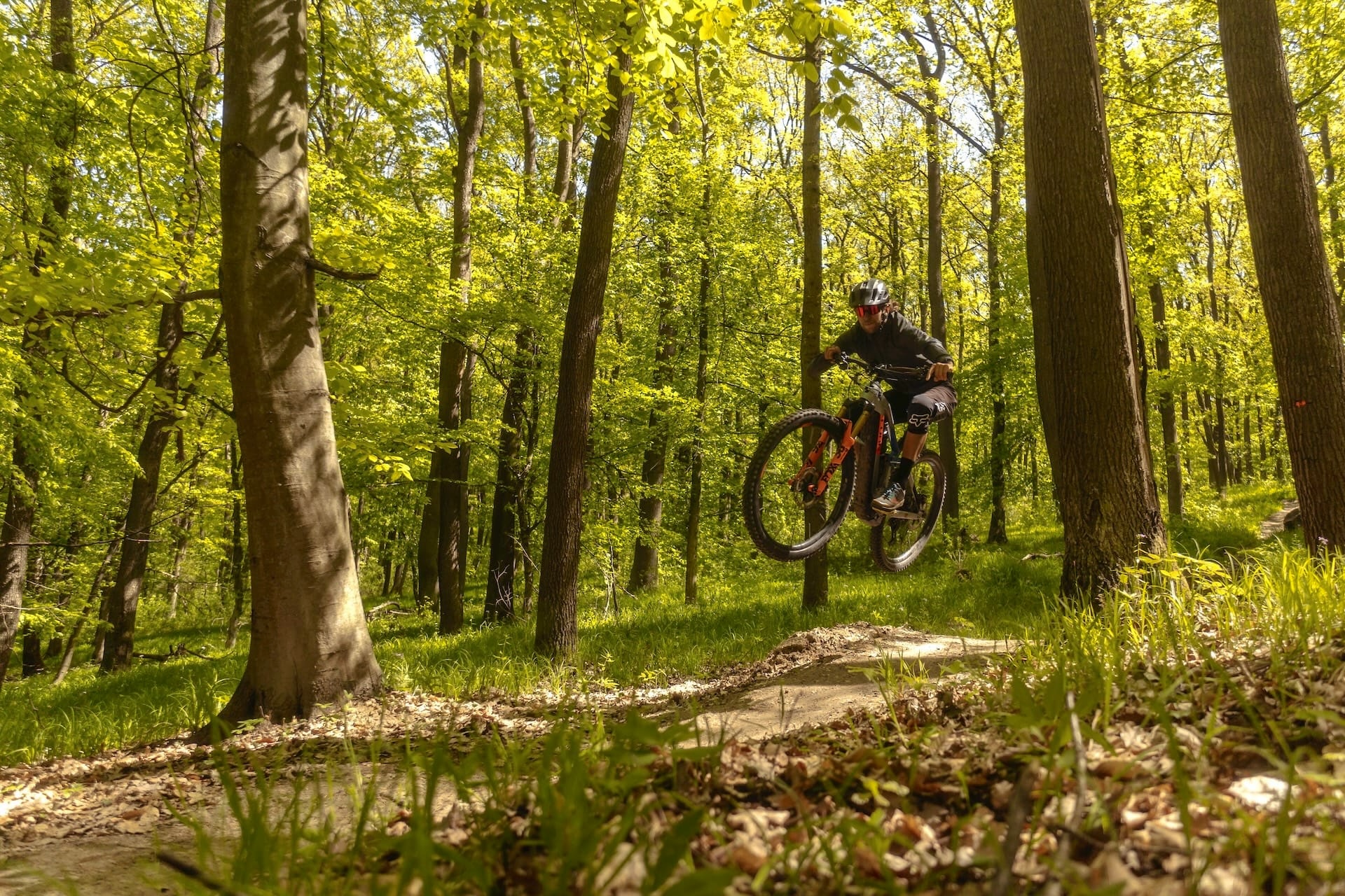 Radfahren in Hohegeiß