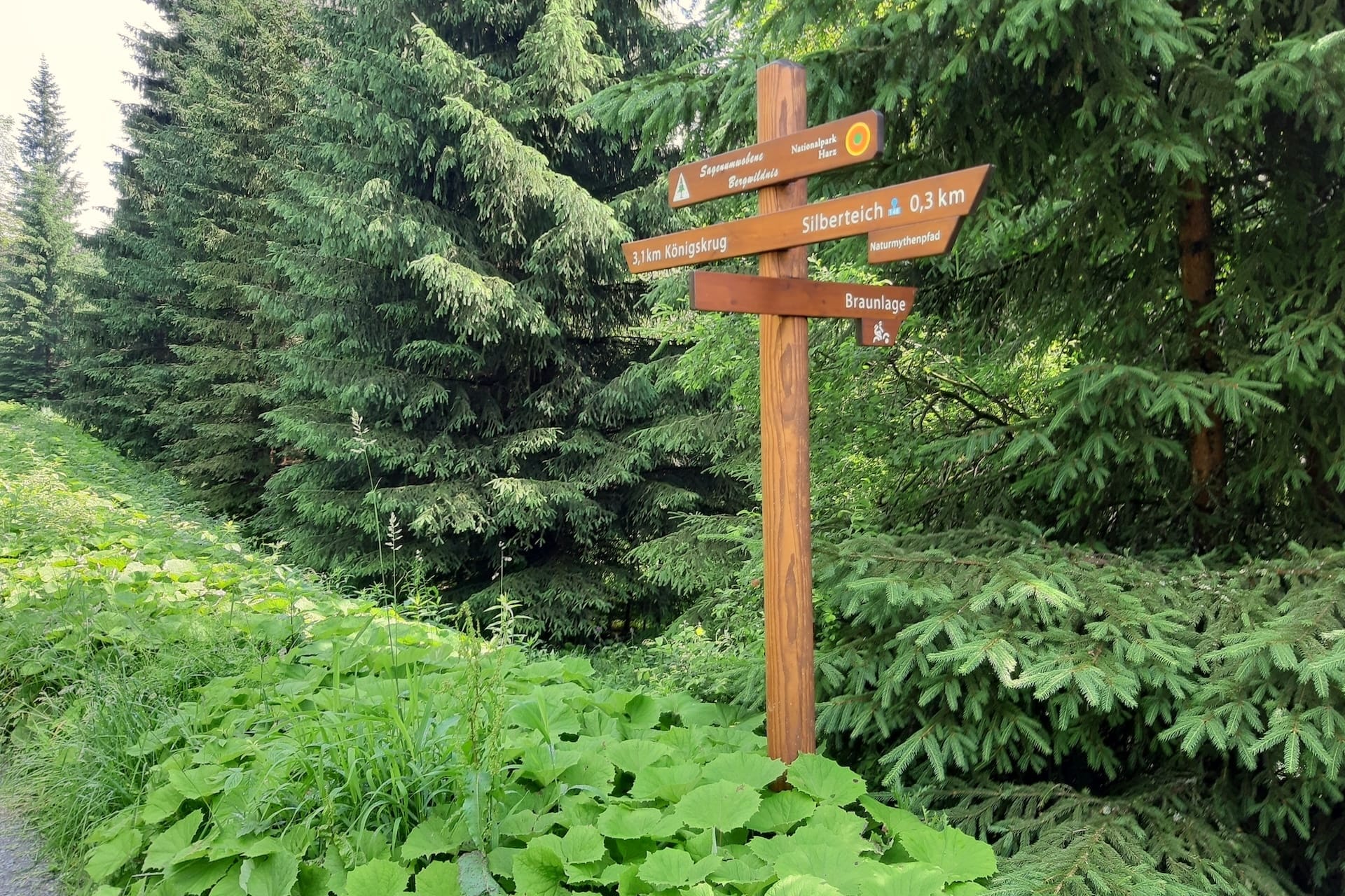 Ausschilderung Wanderwege im Harz in der Nähe von Braunlage beim Urlaub in Hohegeiß